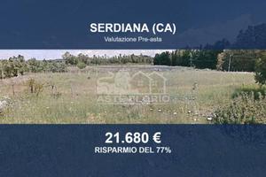 Immobile in asta di 23225 m² a Serdiana