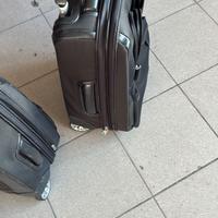 coppia trolley in pelle Piquadro 