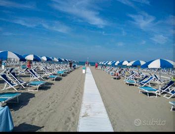 Vacanze estive a Viareggio