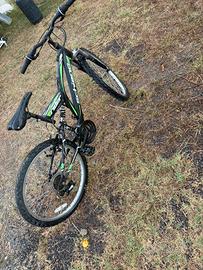 Mountain bike