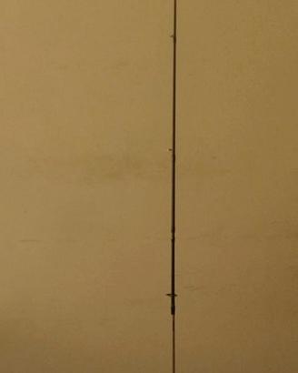 canna da pesca spinning 7-21g+mulinello trabucco