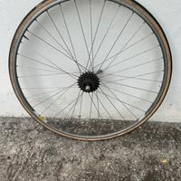 Ruota corsa Campagnolo