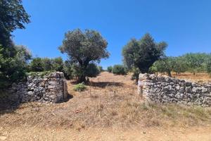 Terreno di 2900 m² a Alberobello
