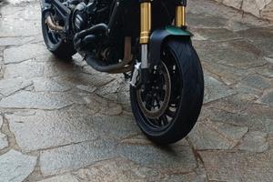 Benelli Leoncino 800