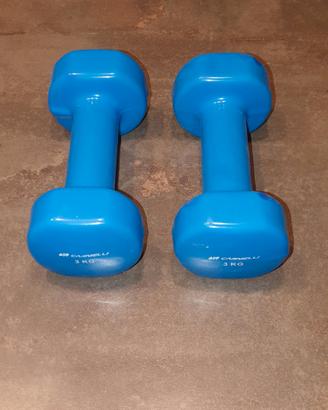 Manubri 3 kg.