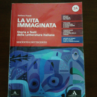 La vita immaginata vol 2A + 2B+ MAPPE