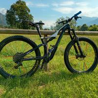 Bicicletta downhill