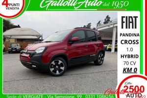 FIAT Pandina 1.0 FireFly 70cv S&S Hybrid Cros...