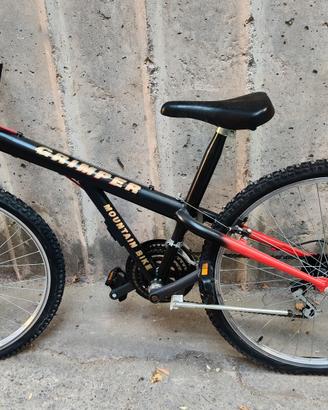 Mountain bike grimper