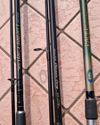 3 Canne Carpfishing.