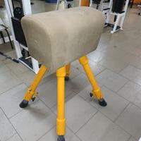 Cavallina ginnastica 