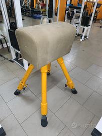 Cavallina ginnastica 