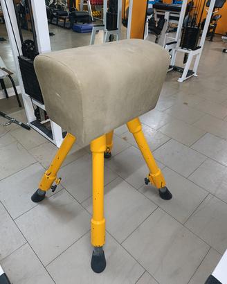 Cavallina ginnastica 