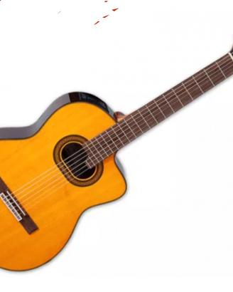 takamine classica 