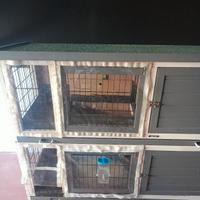 casetta per cavie/coniglietti