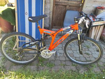 bicicletta 26