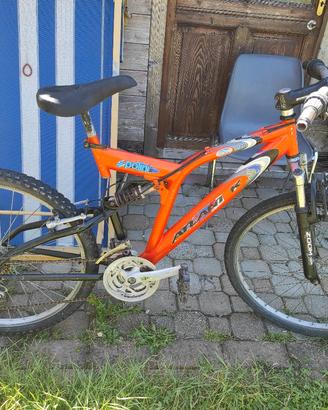 bicicletta 26
