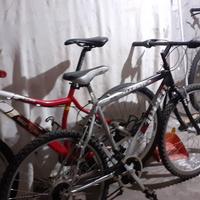 Bicicletta mtb