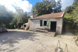 Terreno Agricolo con Vigna e Frutteto