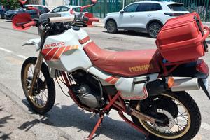 Morini 350 kanguro