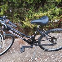 Bicicletta mountain bike