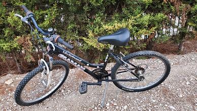 Bicicletta mountain bike