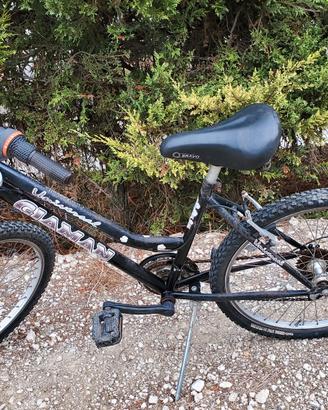Bicicletta mountain bike