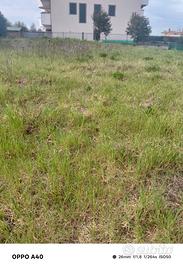 Ciampino colle oliva