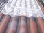 Immagine 2