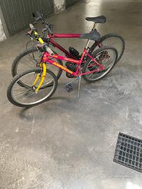Coppia di biciclette