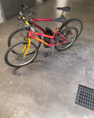 Coppia di biciclette