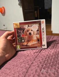 Nintendo dogs + cats