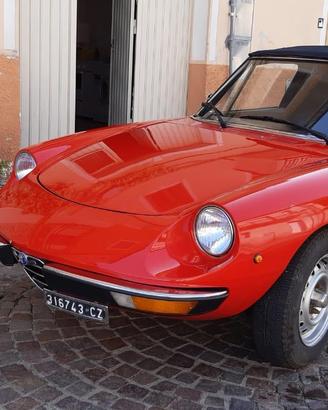 Spider Duetto Coda Tronca Alfa Romeo