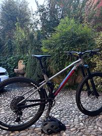 Mondraker foxy