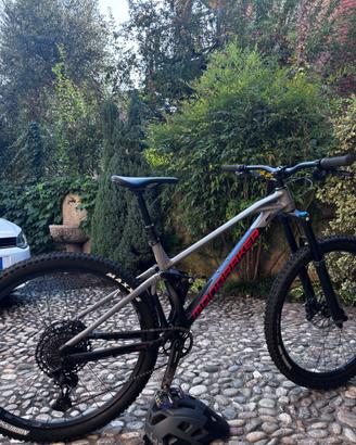 Mondraker foxy