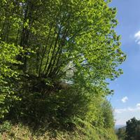 TER. RESIDENZIALE A STRONA