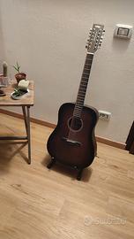 Chitarra 12 Corde Elettrificata