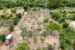 Terreno e rustici