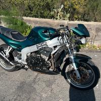 Triumph speed treeple