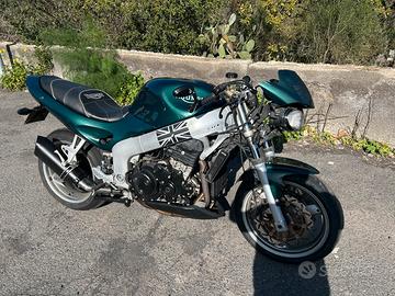 Triumph speed treeple