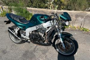 Triumph speed treeple