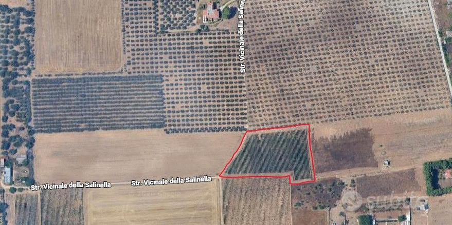 Terreno agricolo con Vigneto a spalliera - Taranto - Vista 4