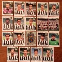lotto completo figurine Panini Juventus 1991/92