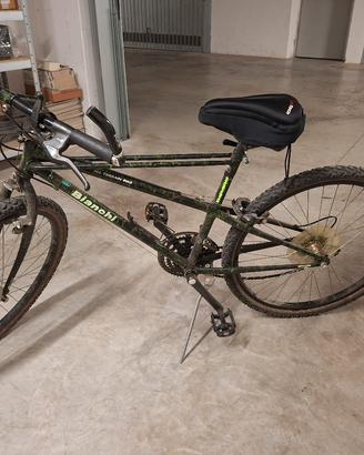 bicicletta 