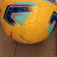 pallone da calcio