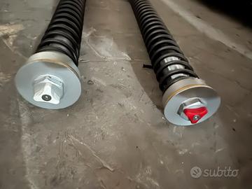 Pompanti cartucce wp ktm 690 smc