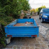 pezzi per macchina agricola 