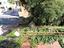 Immagine 28