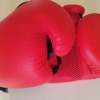 sacco Boxe Outshock con guantoni