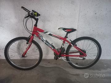 Bicicletta ragazzo 24'